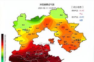 ?格鲁-约基奇和他的洛杉矶小黄人们